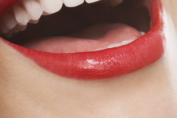 Tus dientes y encías son importantes y quizá son de las partes de tu cuerpo subestimadas.