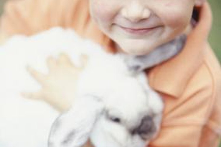 this babe likes rabbit