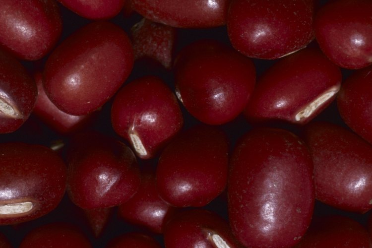 Una lata de 15 onzas de frijoles contiene 385 calorías.