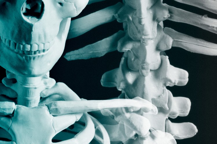 La clavícula de un bebé se puede fracturar durante el nacimiento.