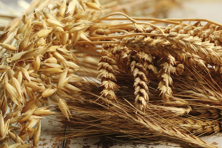La mayoría de avena disponible se cocina en el momento de procesarse.