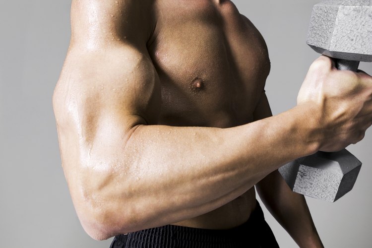 La viscosidad de un músculo es un mecanismo de seguridad que previene heridas musculares.