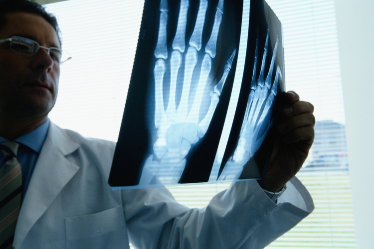 Infórmate sobre la mano humana a partir de esta descripción.
