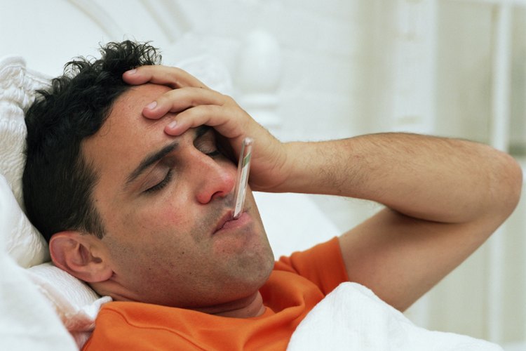 El té de eucalipto se utiliza como remedio para la fiebre en algunas partes del mundo.