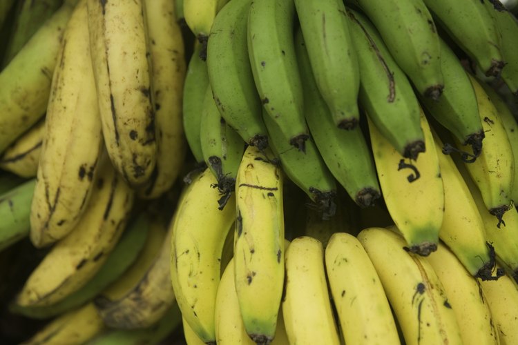 Plátanos en venta en un mercado.