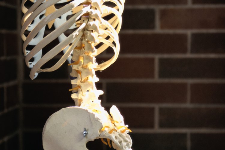 La osteoporosis implica una severa pérdida de densidad ósea que puede aumentar el riesgo de fracturas.