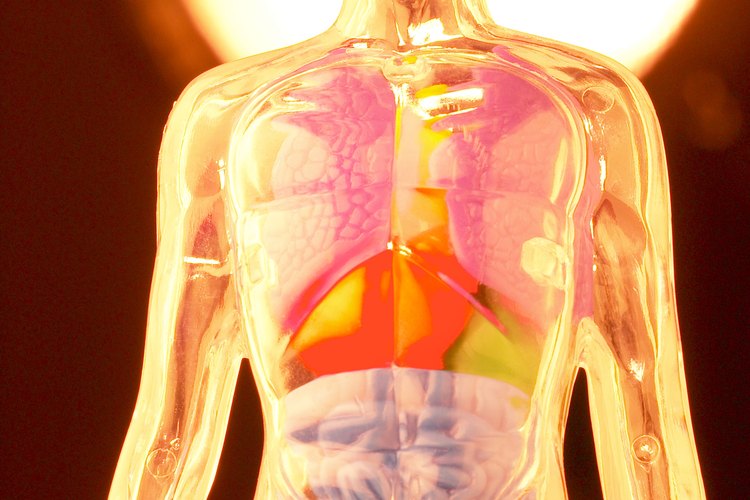 La quimioterapia puede afectar las células sanas.