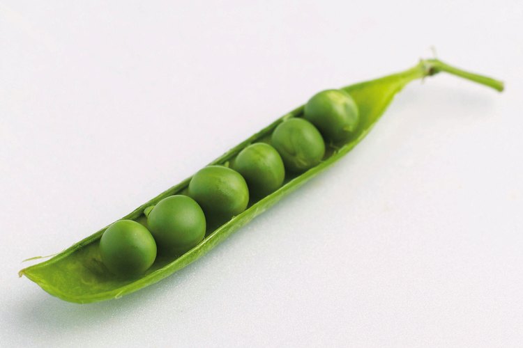 Los guisantes son alimentos altos en fibra.