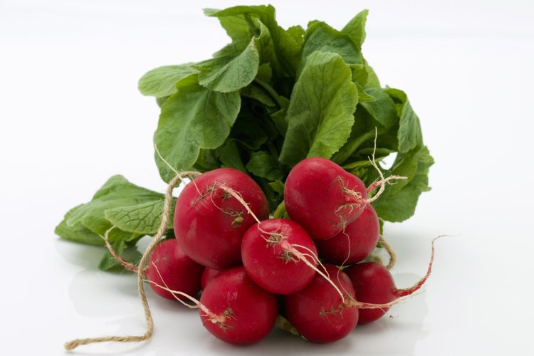 Los rábanos son verduras densas en nutrientes y bajas en calorías.