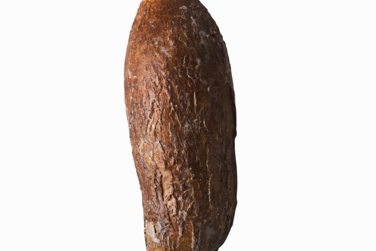 Una taza de yuca contiene 78 gramos de carbohidratos.