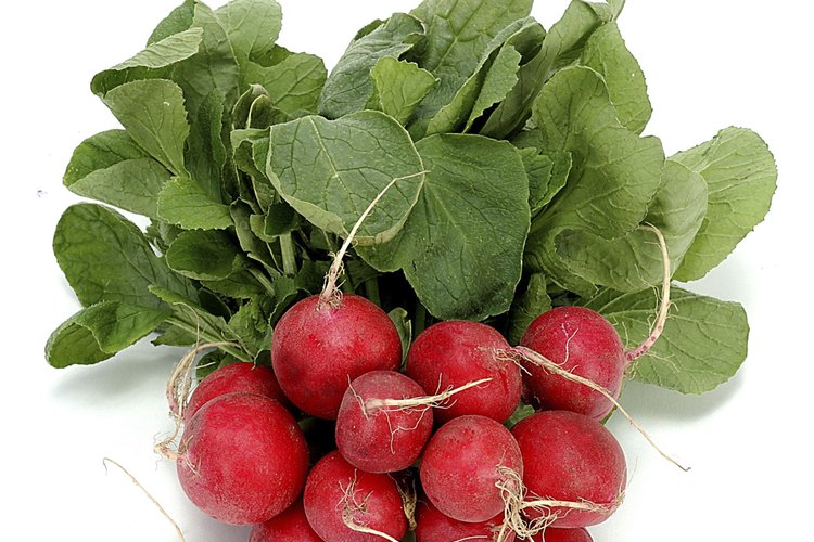Alimentos con bajos niveles de oxalato.