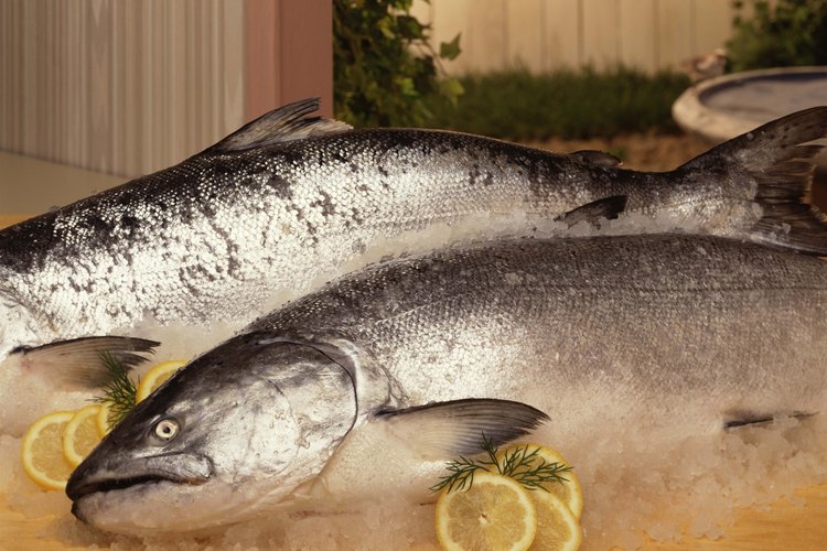 El salmón contiene sustancias que ayudan al cerebro.