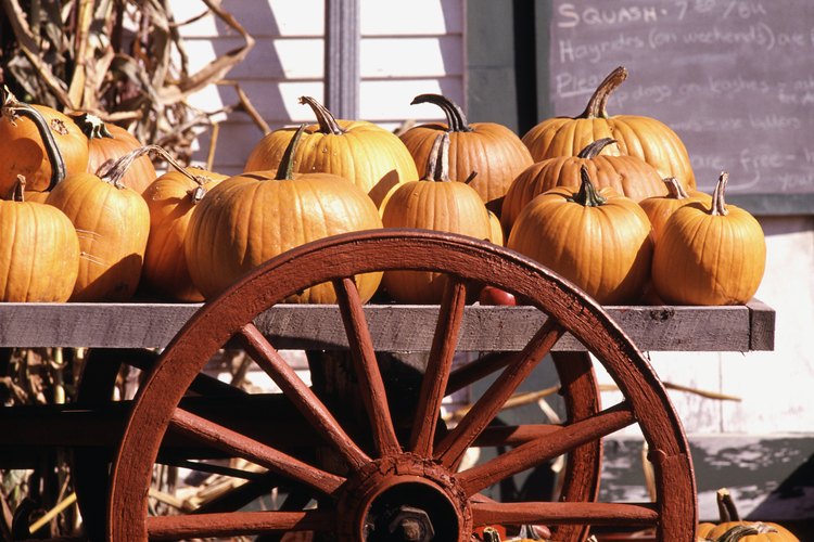 La calabaza es un vegetal ideal para bajar de peso.