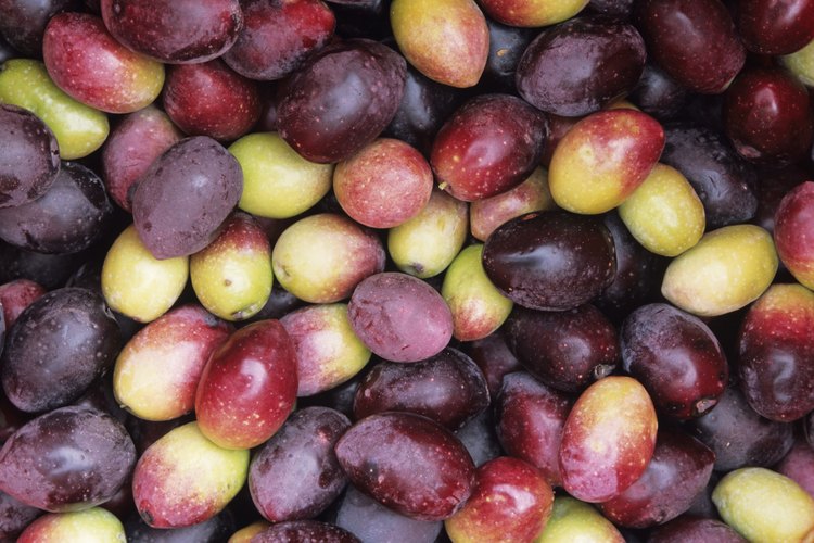 La apariencia de las aceitunas varía, a menudo, entre verde y negro, lo cual es un indicio del nivel de madurez.