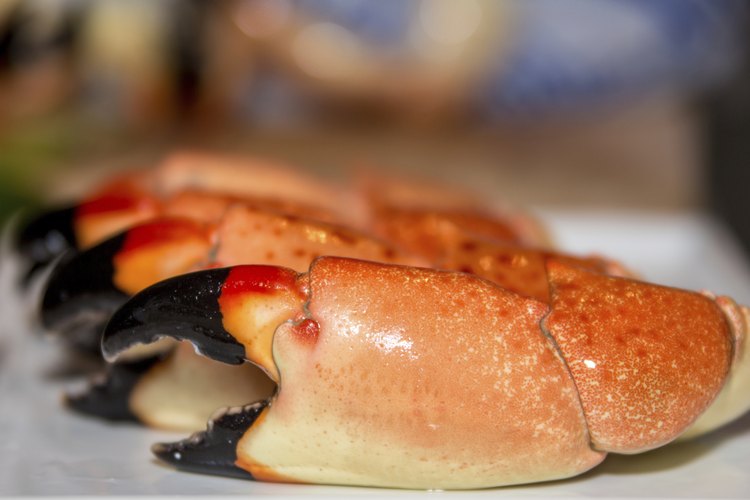 Los mariscos son recomendados en la dieta Dukan.