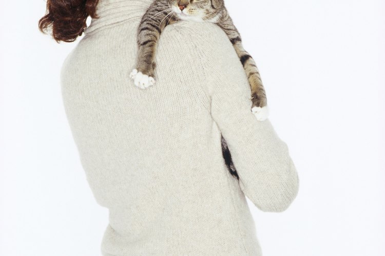 Piensa antes de tener una mascota, son una gran responsabilidad y te necesitarán toda su vida.