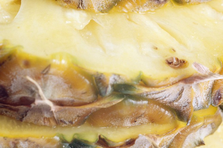 Disfrutar de rebanadas de piña fresca es beneficioso para la digestión.