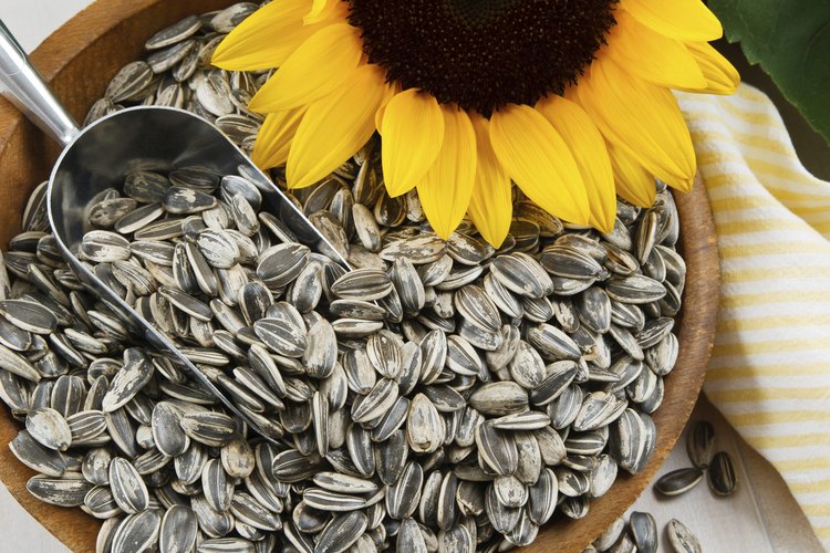 Tazón de semillas de girasol.
