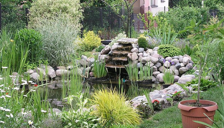 A lush garden pond with a waterfall. A lush garden pond with a waterfall.