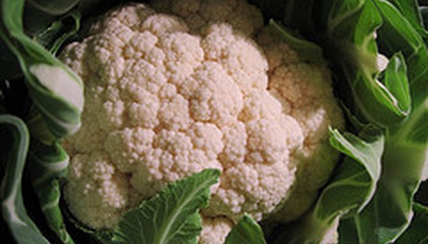 Mature cauliflower Mature cauliflower