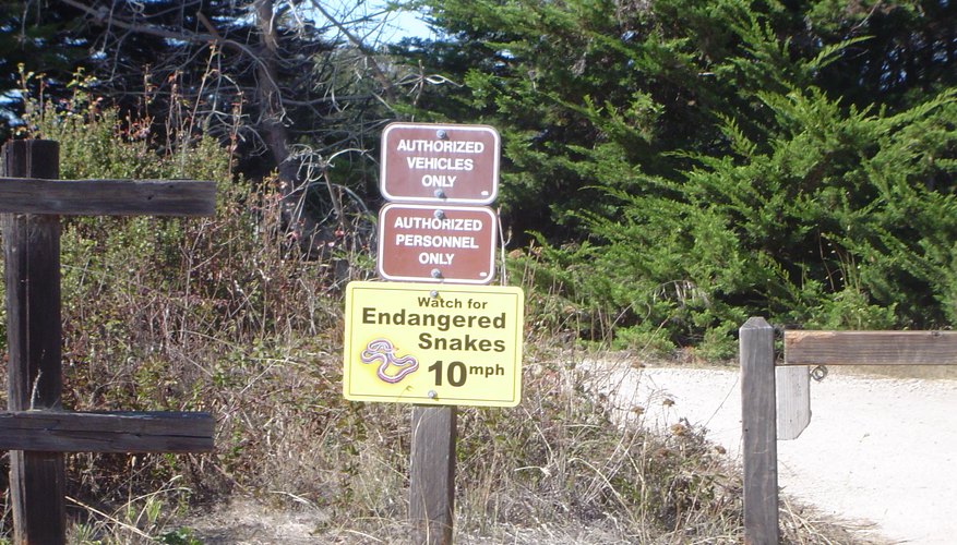 Sign at Ano Nuevo State Park warning to protect endangered snake. Sign at Ano Nuevo State Park warning to protect endangered snake.