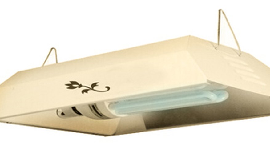 Grow lights provide indoor illumination. Grow lights provide indoor illumination.