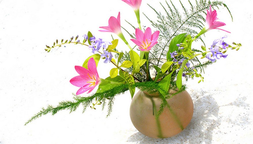 Grow your own cut flowers Grow your own cut flowers