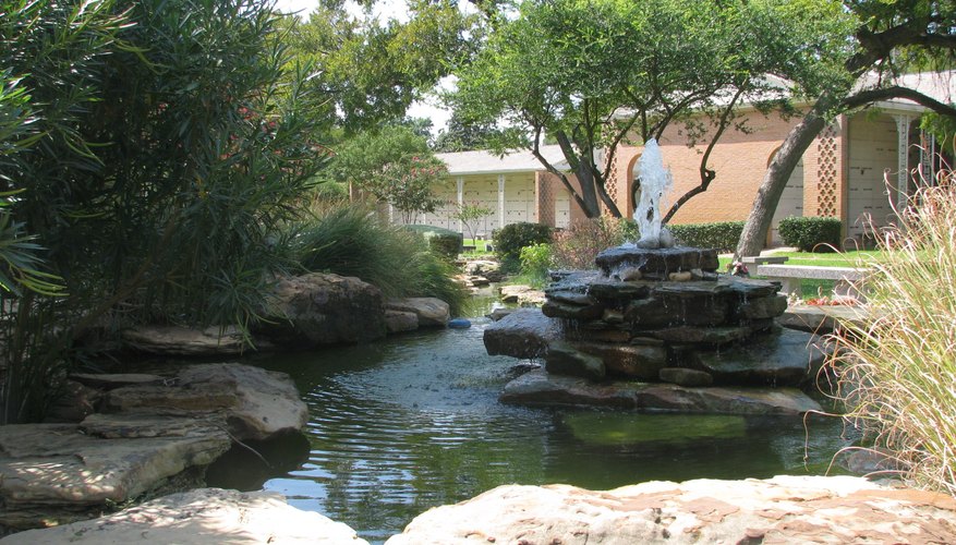 Landscaped pond and stream Landscaped pond and stream