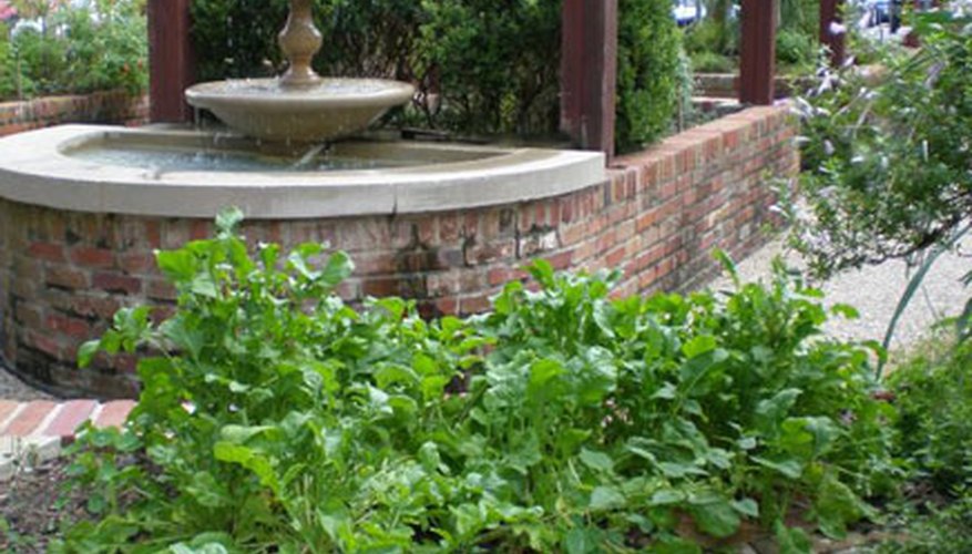Hermann Park herb garden. Hermann Park herb garden.