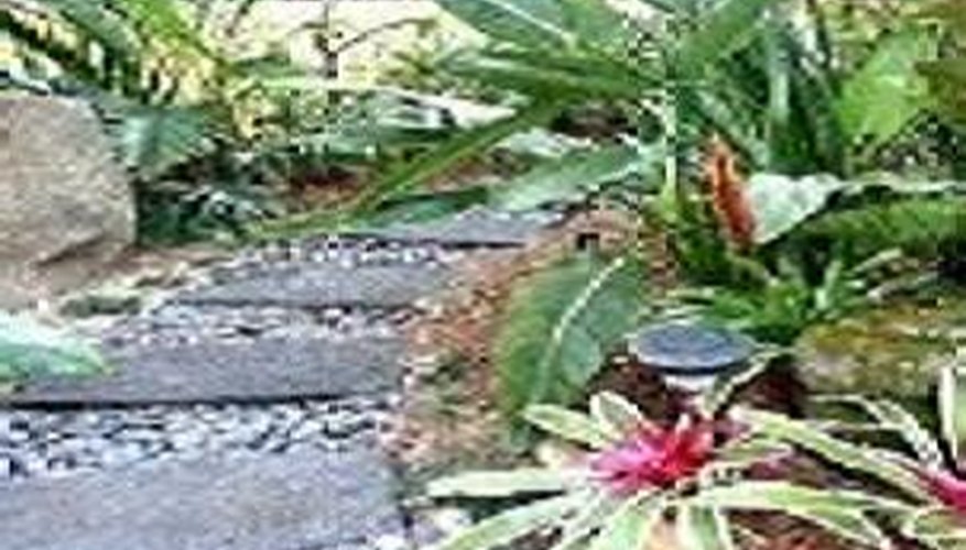 Asian Garden Asian Garden