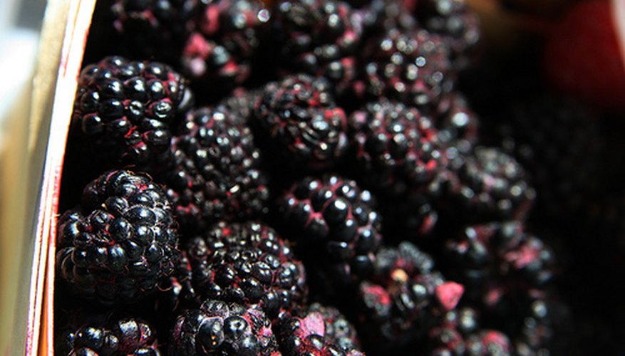 Black raspberries. Black raspberries.
