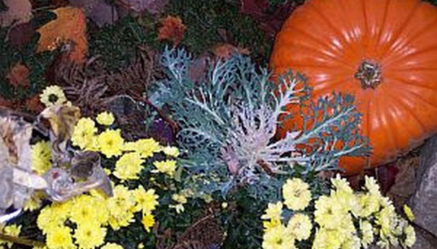 Prepare flower beds for winter to ensure bright blooms next spring. Prepare flower beds for winter to ensure bright blooms next spring.