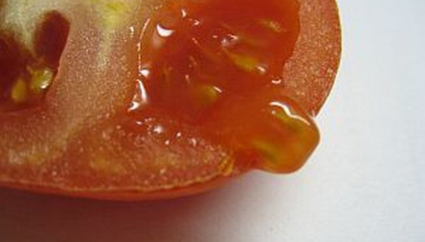 Save tomato seeds for next season and savor another delicious harvest Save tomato seeds for next season and savor another delicious harvest