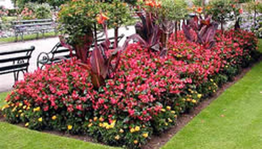 Landscape designs such as this are well-planned. Landscape designs such as this are well-planned.