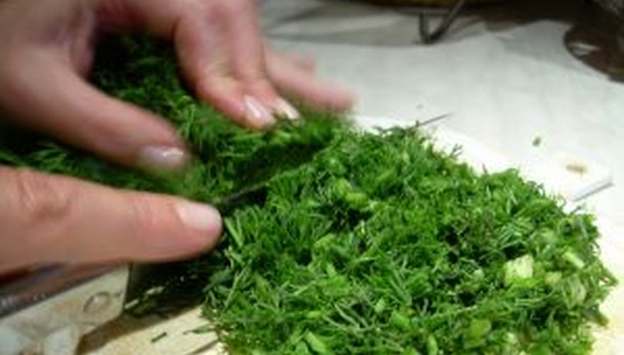 Chopping dill leaves for cooking. Chopping dill leaves for cooking.
