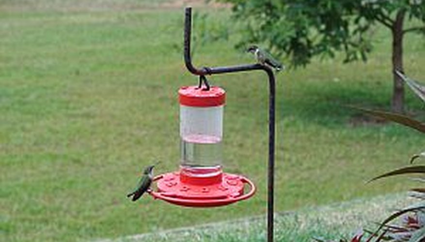 Hang a hummingbird feeder in the yard to attract hummingbirds. Hang a hummingbird feeder in the yard to attract hummingbirds.