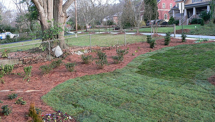 Freshly Laid Sod Freshly Laid Sod