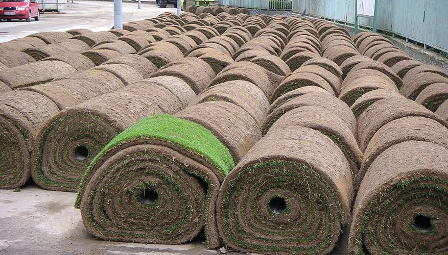 Rolled sod Rolled sod