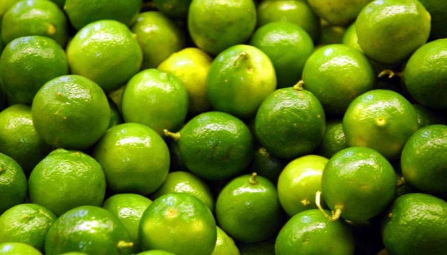 Limes in the market. Limes in the market.