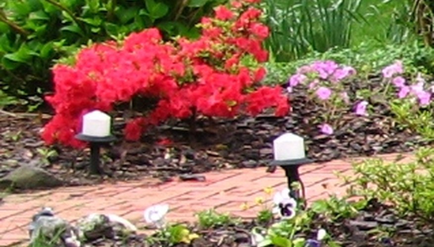 Low-voltage garden lights along a walkway Low-voltage garden lights along a walkway