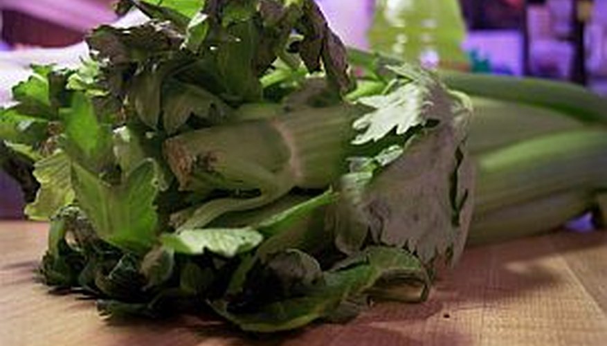 Delicious and healthy celery Delicious and healthy celery
