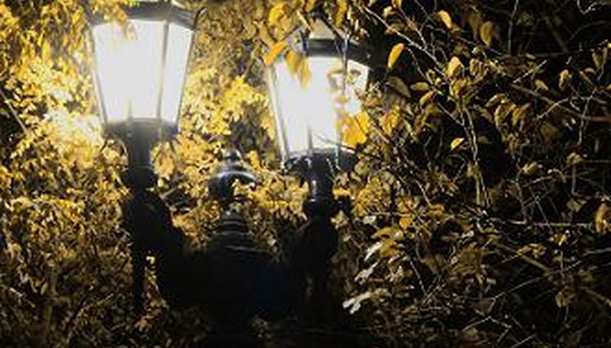 Garden globe light with vine resembles moonlight. Garden globe light with vine resembles moonlight.
