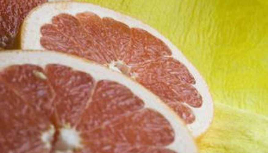 Grapefruits are harvested for several months. Grapefruits are harvested for several months.