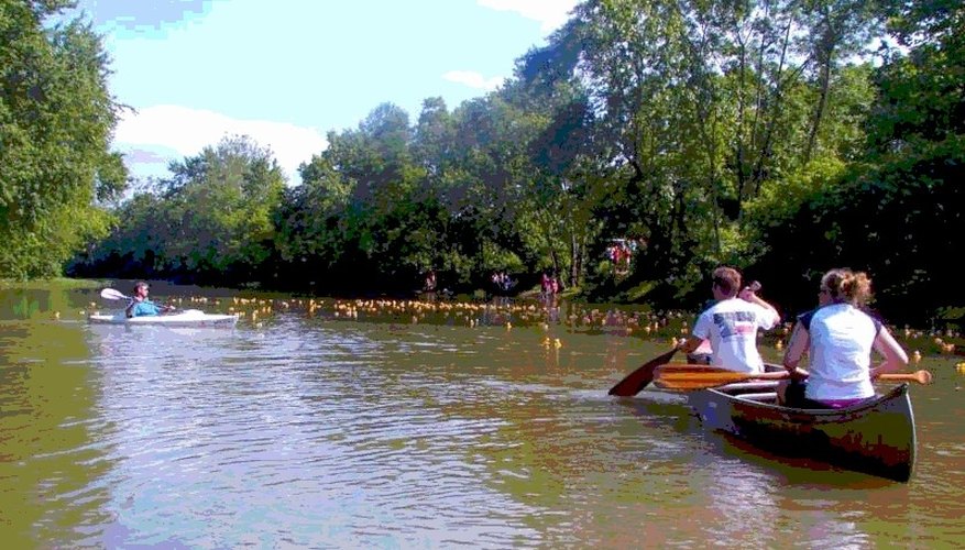 The canoers herd the ducks downstream The canoers herd the ducks downstream