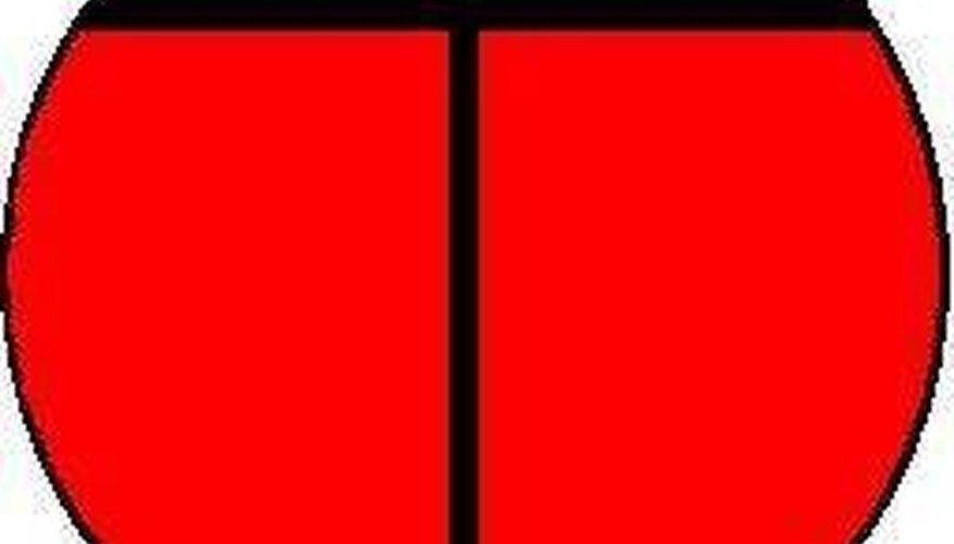 Paint ladybug black and red