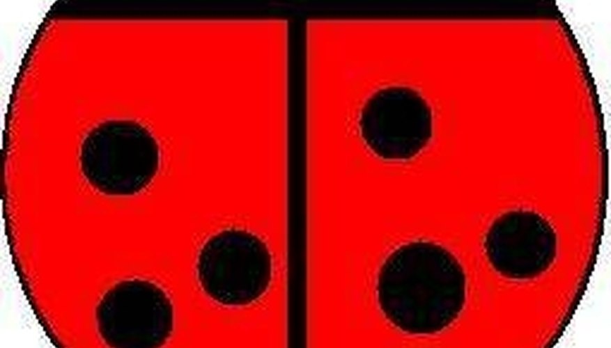 Paint spots on ladybug