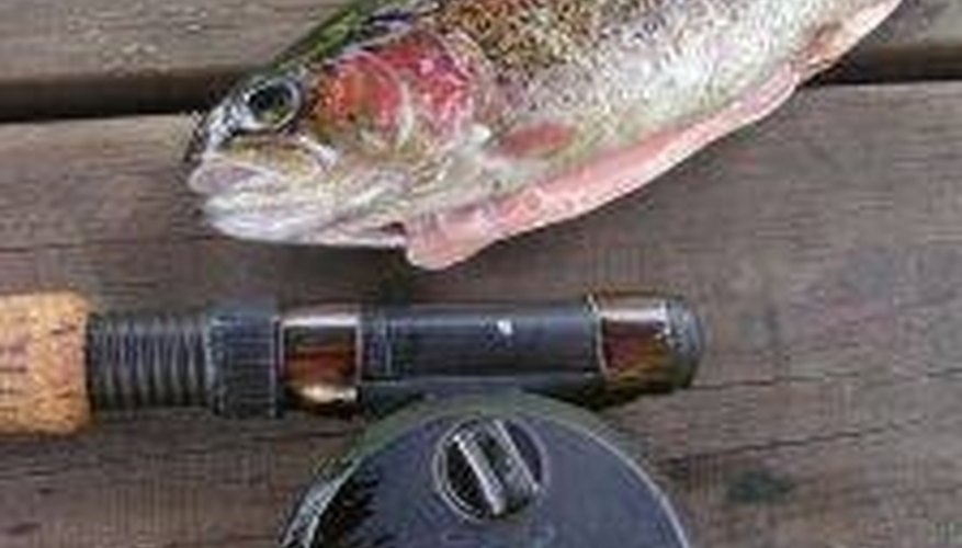 Make a Homemade Fish Smoker Make a Homemade Fish Smoker