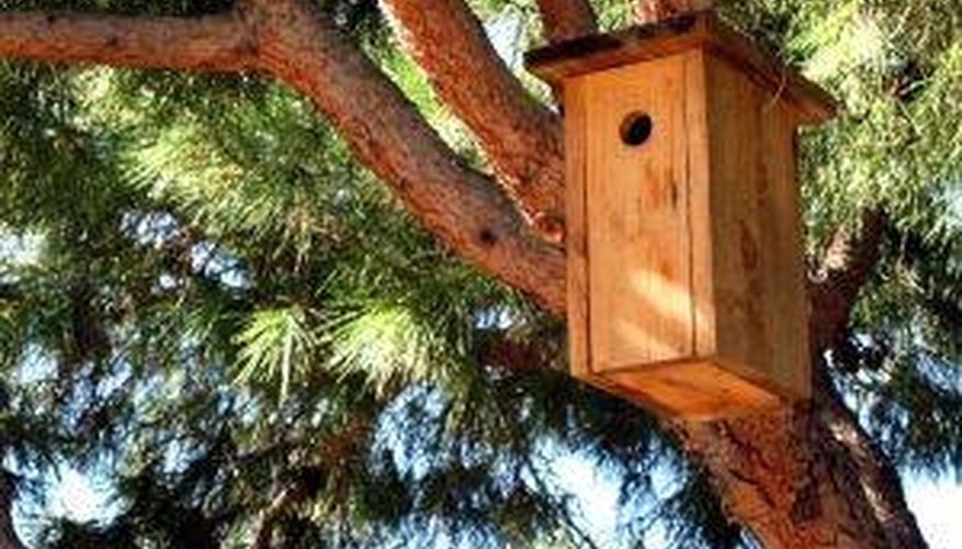 Build a homemade birdhouse to attract delightful song birds to your garden. Build a homemade birdhouse to attract delightful song birds to your garden.