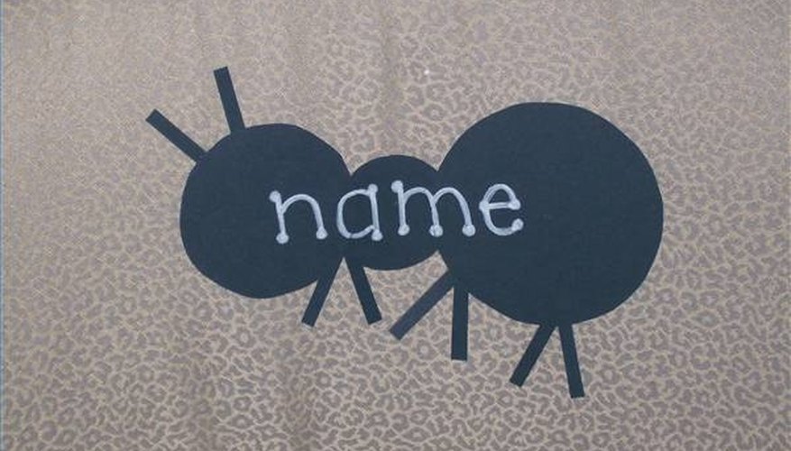Bulletin Board Ant Bulletin Board Ant
