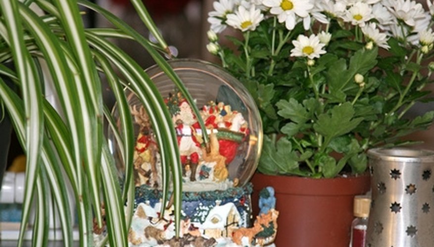 If you are careful, you can change the water in an old snow globe. If you are careful, you can change the water in an old snow globe.